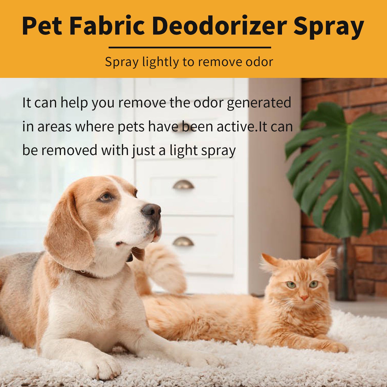Pet Deodorant Spray Cleaning for effective odor removal in homes with pets.