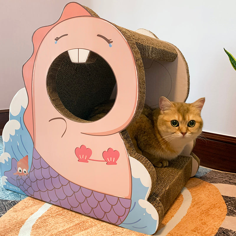 Cat Scratching Board
