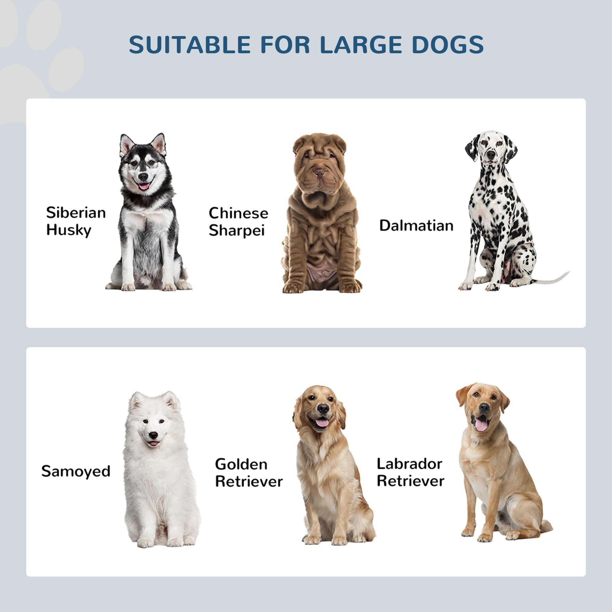 Elevated Dog Bowls 
