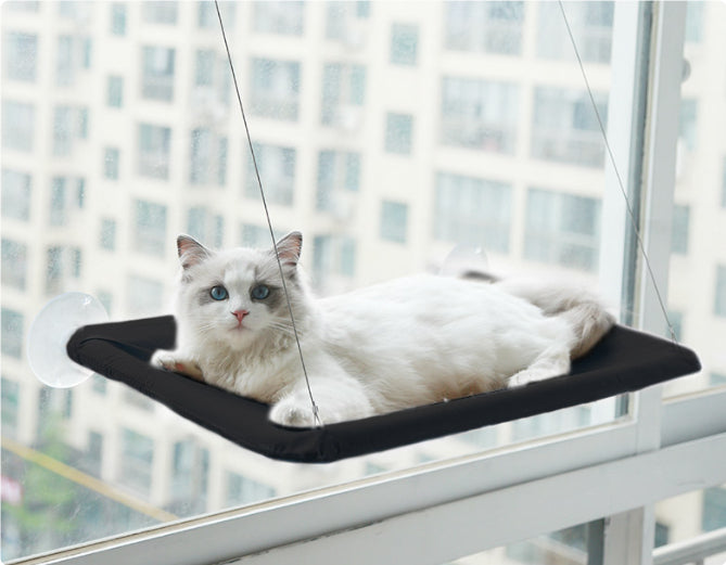 Cat Hammock Suction Cup